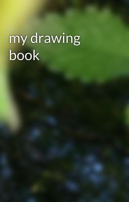 my drawing book