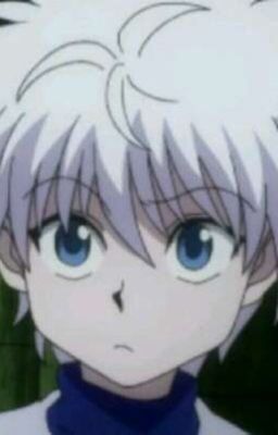 My Hero(killua x neko reader)