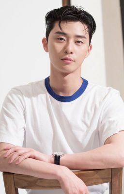 Mỹ Kitty và Tổng tài Park Seo Joon