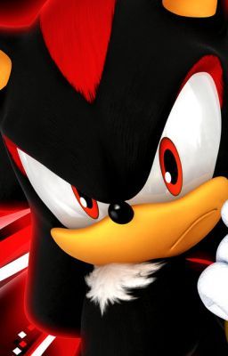 My life with shadow the hedgehog (sequel to my shadowy life)  (#Wattys2014)