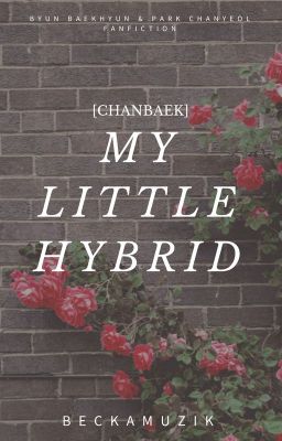 My Little Hybrid {CHANBAEK}