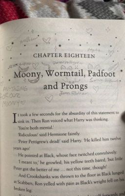 my little moony ⎯⎯⎯⎯⎯⎯⎯wolfstar