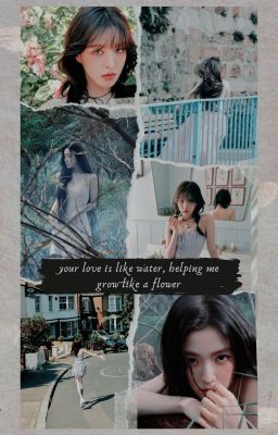 my love is like a flower | wenrene ✿