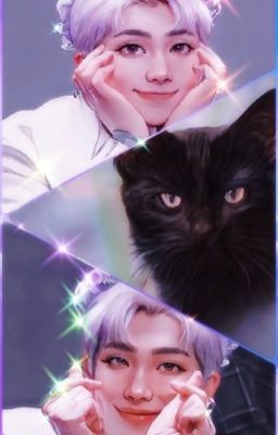 My Mate is a Crazy Cat Lady {Namjoonxreader}