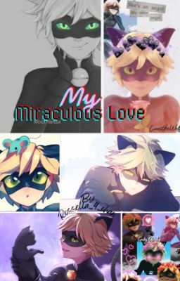 My Miraculous Love (Chat Noir x reader)