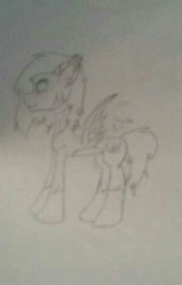 My Mlp And Others Art Book