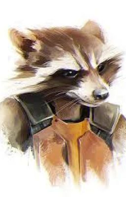 🚀My name is Rocket... Rocket Racoon🚀