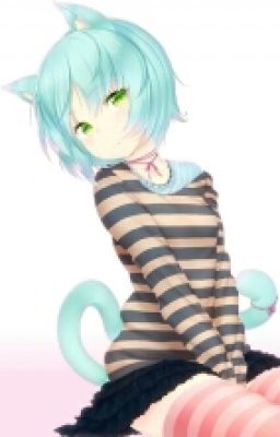 My Neko Girls (+18) (Original Story)