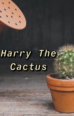 My Pet Cactus Harrys Funeral