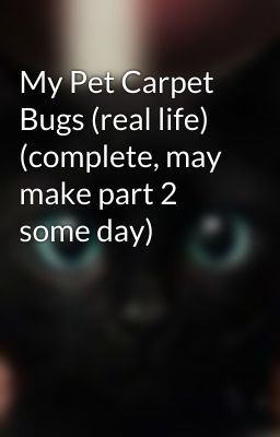 My Pet Carpet Bugs (real life) (complete, may make part 2 some day)