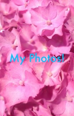 My photos!