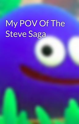 My POV Of The Steve Saga