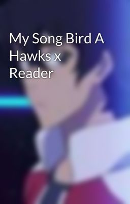 My Song Bird A Hawks x Reader