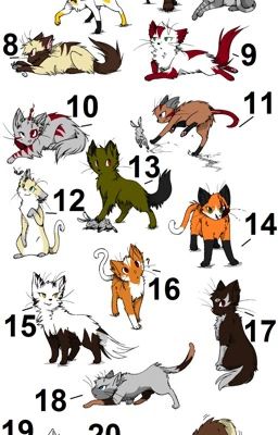 My Warrior Cat Oc's