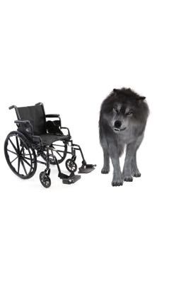 My Wheelchair Mate