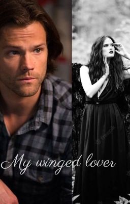 My winged lover ( Sam x angel reader)