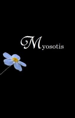 Myosotis