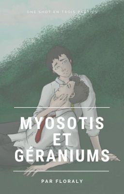 Myosotis et géraniums