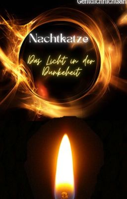 Nachtkatze: Licht in der Dunkelheit