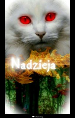 Nadzieja (Warriorcats rp ZAPISY OTWART)