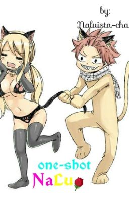 ||NaLu||