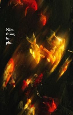 Năm tháng hạ phai. 