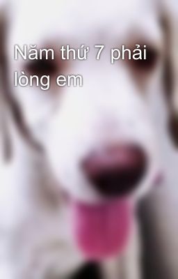 Năm thứ 7 phải lòng em