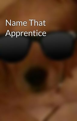 Name That Apprentice