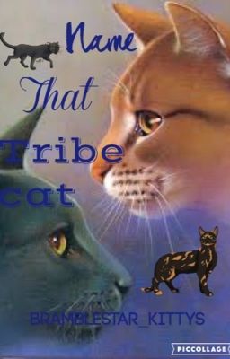 Name That Tribe Cat