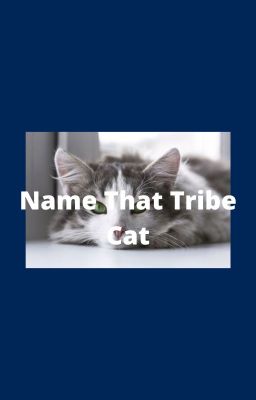 Name that Tribe cat! Warrior Cats