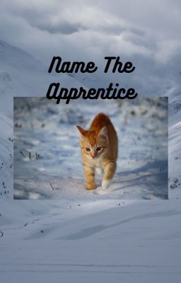 Name The Apprentice