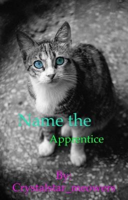 Name the apprentice