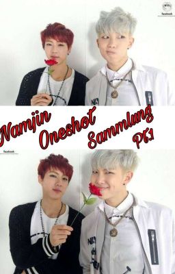 Namjin Oneshot Sammlung Pt.1