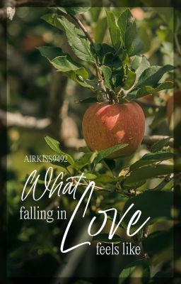 [NamJin][Written Fic | Oneshot] What falling in love feels like