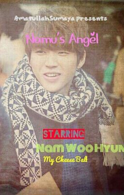 Namu's Angel (NAM WOOHYUN FANFICTION)