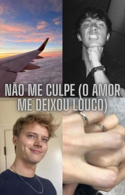 Não me culpe (o amor me deixou louco)