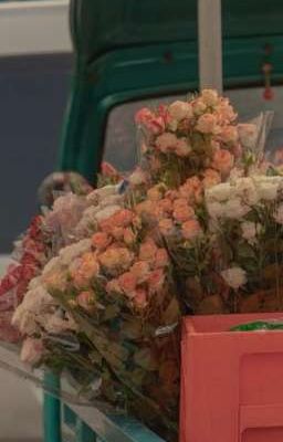 naruhoshi || album 4: in heat