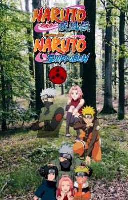 Naruto Shippuden 