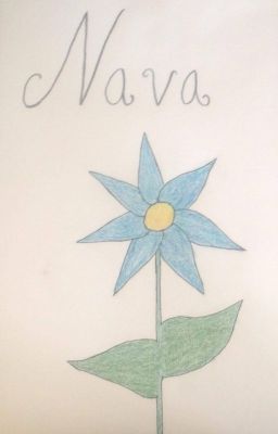 Nava