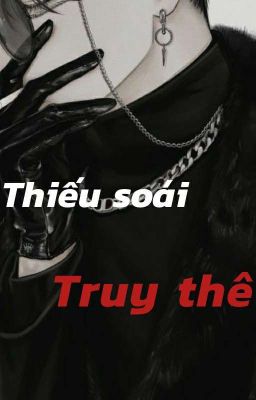 [NBN] Thiếu Soái Truy Thê 