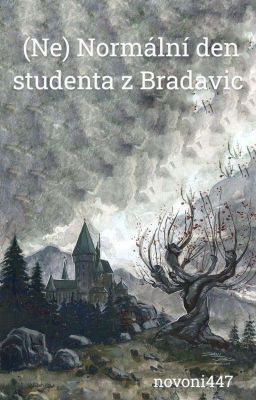 (Ne)normální den studenta z Bradavic/HP/Jednodílovka 