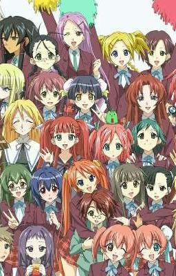 negima u.d.f. volume 2 (rewrite) Completed