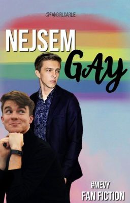 Nejsem gay