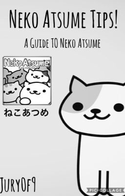 Neko Atsume Tips