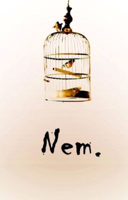 Nem.