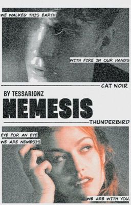 Nemesis   ✧   Chat Noir.