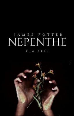 NEPENTHE ⟶ James Potter