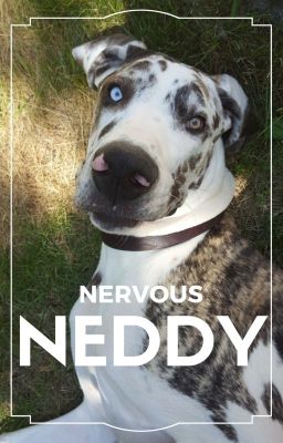 Nervous Neddy