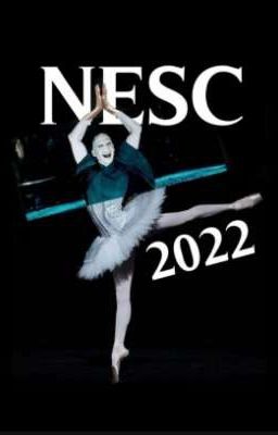 NESC 2022- Die ultimative Shippingchallenge