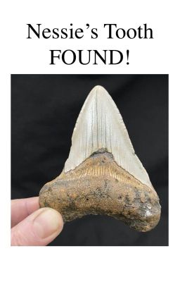 Nessie's Tooth FOUND!